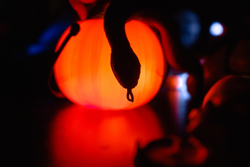 Украшение дома паутиной и летучими мышами к Хэллоуину в Saratov